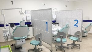 OrthoDontic