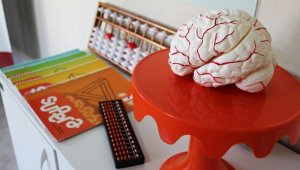Material didático Franquia Supera Ginástica para o cérebro