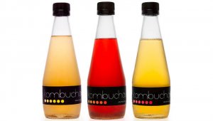 Moncloa Kombucha