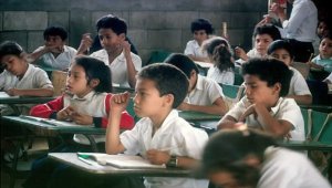 a força do franchising na educação brasileira