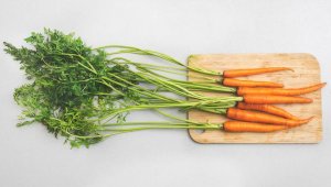 franquias de alimentos