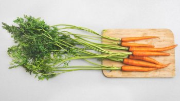 franquias de alimentos