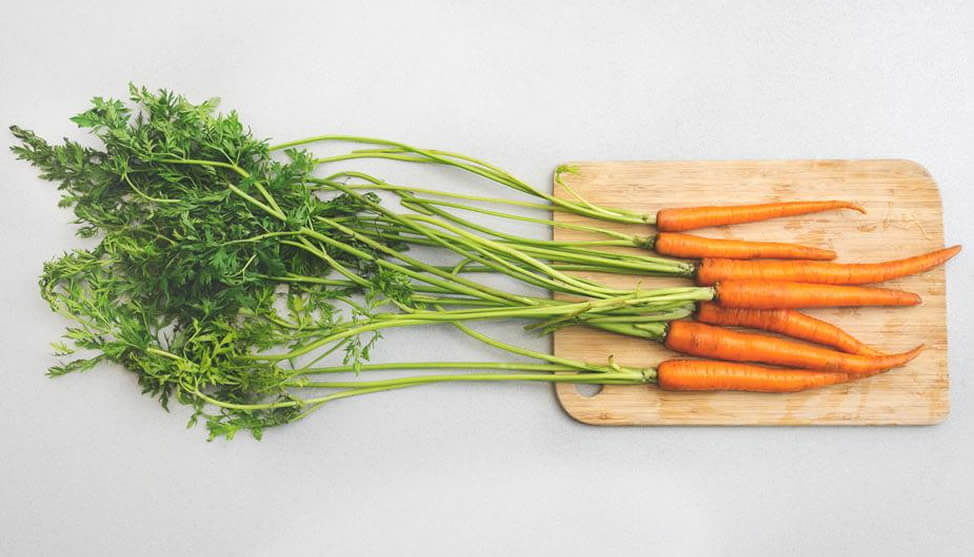franquias de alimentos