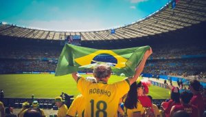veja os números do franchising brasileiro 2019