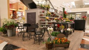quiosques para shopping