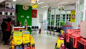 clínica veterinária Apaixonados por Quatro Patas