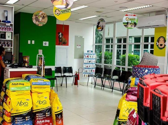 clínica veterinária Apaixonados por Quatro Patas