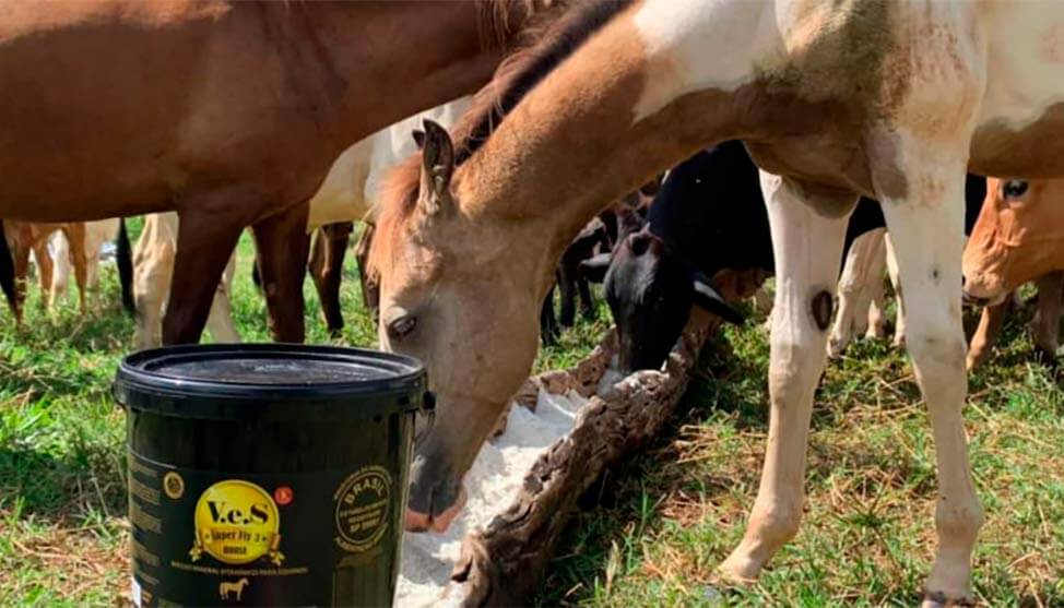 oportunidades do agronegócio