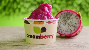 negócio de alimentação cream berry