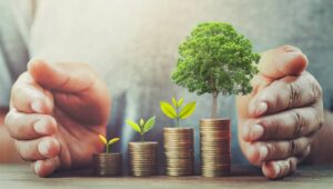Franquias financeiras para conhecer e investir