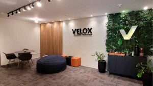 investir em franchising
