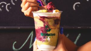 franquias de açaí