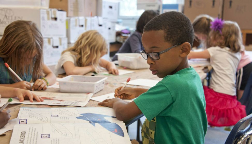 franquias de educação